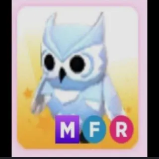 MFR SNOW OWL