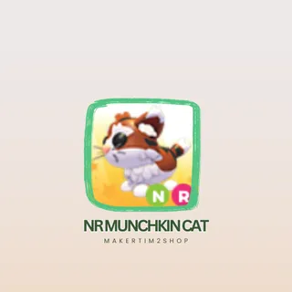 NR MUNCHKIN CAT
