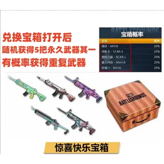 Surprise Lucky Box PUBG