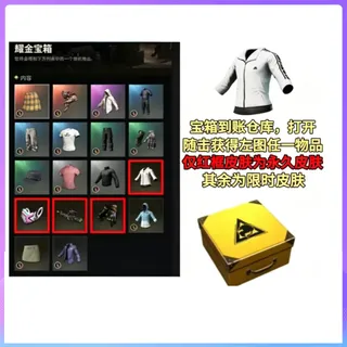 Shining Gold crate*20