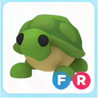 FR TURTLE THE CHEAPEST!