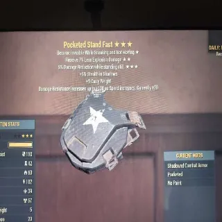 Pocketed Stand Fast Armor ⭐⭐⭐ New Armor