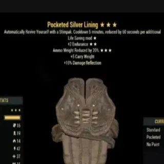 POCKETED SILVER LINING⭐⭐⭐ New Armor