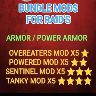 BUNDLE MODS FOR RAID'S