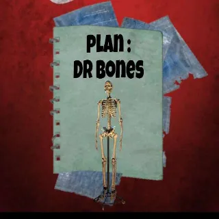 Plan : DR BONES