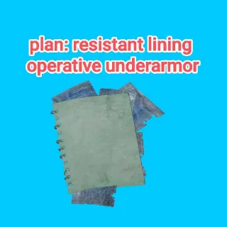 resistant lining operative underarmor