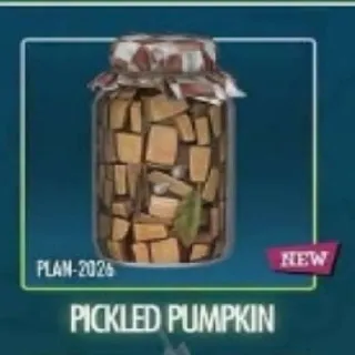Pickled Pumpkin. NEW PLAN!!!🎃🍖