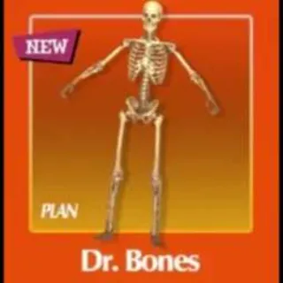 Dr Bones Plan