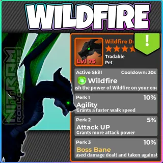 WZ - Wildfire Dragon - Atk,agil,bob