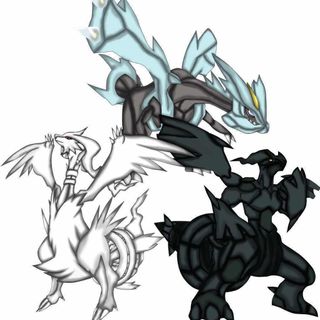 reshiram, zekrom, and kyurem (pokemon and 2 more)