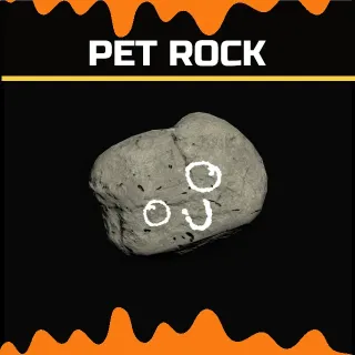Pet Rock | Rare Misc Item