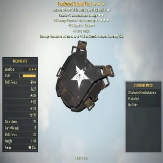 Pocketed Stand Fast | Armor