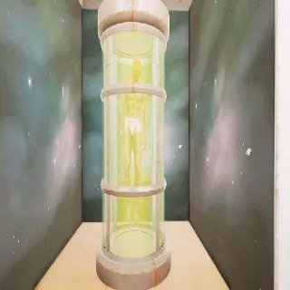 Plan: Human Tube 1