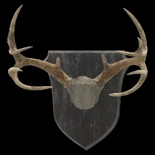 Plan: Mounted Antlers