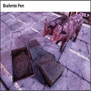 Plan: Brahmin Pen