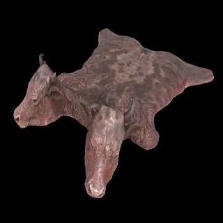 Plan: Brahmin Skin Rug