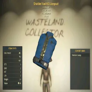 Vault 63 Jumpsuit | Dev