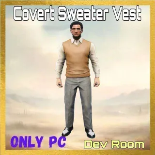 Covert Sweater Vest | Dev Room Outfit
