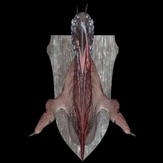 Plan: Mounted Thrasher