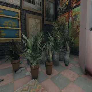 Plan: Potted Plants