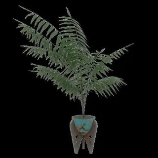 Plan: Potted Plants