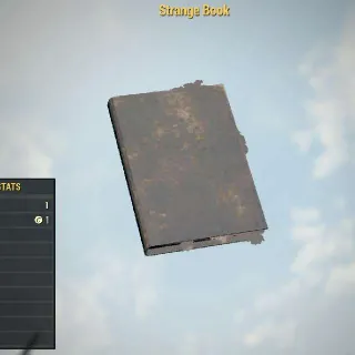 Strange Book | Rare Misc Item