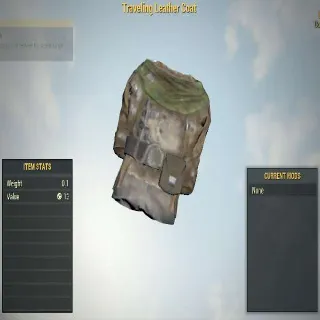 Traveling Leather Coat