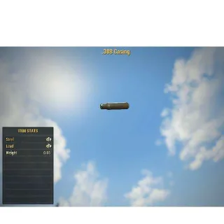 .308 Casing | Dev Room