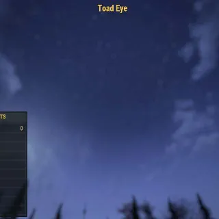 Toad Eye | Legacy Rare Misc | Invisible