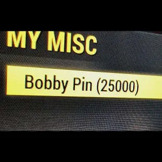 Bobby Pin [25K]