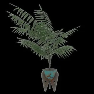 Plan: Potted Plants