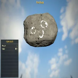 Pet Rock | Rare Misc Item