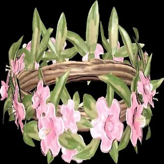 Plan: Flower Crown - Candykill