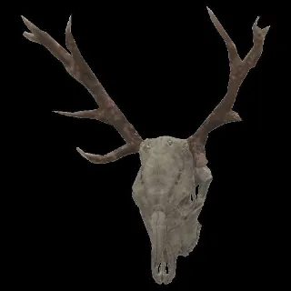 Plan: Deer Skull