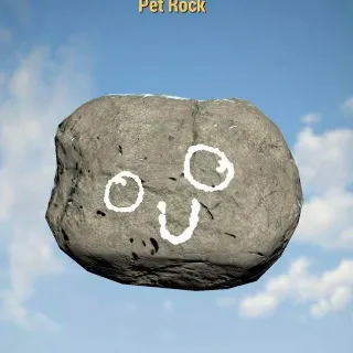 Pet Rock | Rare Misc Item