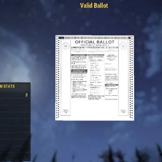 Valid Ballot | Rare Misc Item