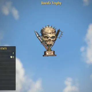 David's Trophy | Rare Misc Item