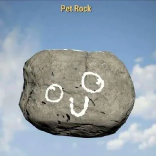 Pet Rock | Rare Misc Item | Displayable