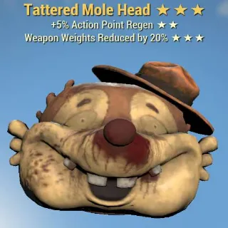 Tattered Mole Head | POWERED - WWR