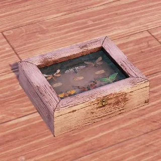 Plan: Moths of West Virginia display cabinet