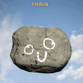 Pet Rock | Rare Misc
