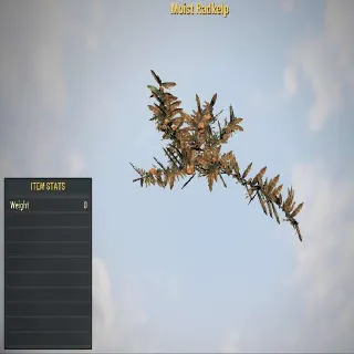 Moist Radkelp | Rare Misc Item | Displayable