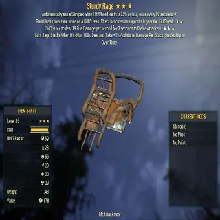 Sturdy Rage Armor | New Armor