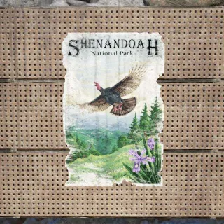 Plan: Shenandoah Turkey Poster