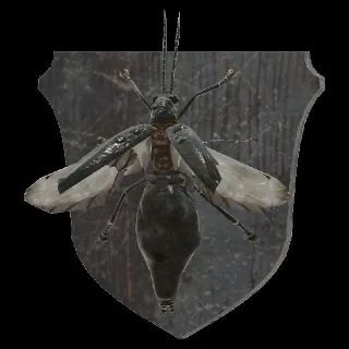 Plan: Mounted Firefly