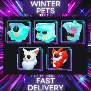 PET BUNDLE - Berry Cool Cube & Friends - Winter Pets