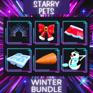 WINTER FEST ACCESSORIES BUNDLE