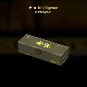 +2 Intelligence Mod ⭐️⭐️