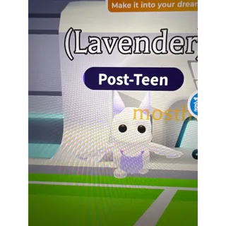 Lavender Dragon Pet