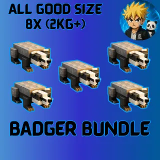 BUNDLE BADGER | 8PCS | ALL GOOD SIZE